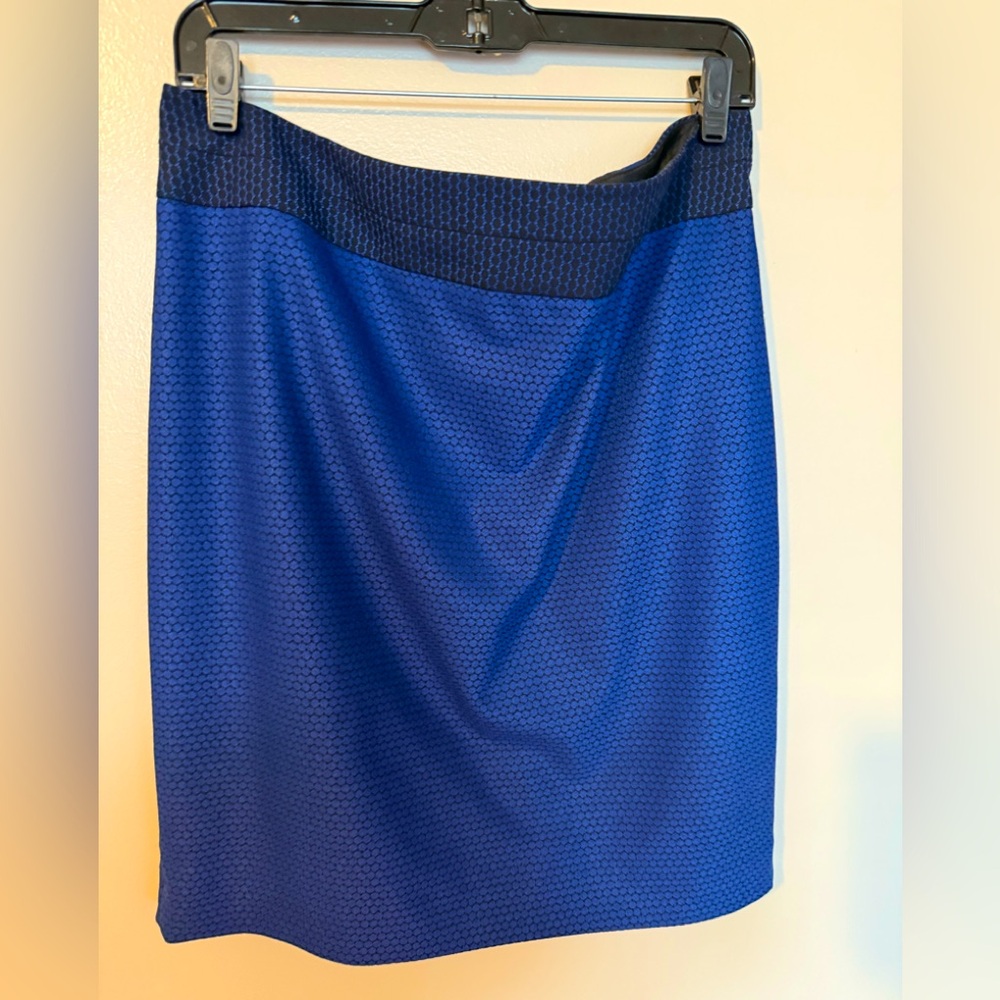 NWT Jaquard Pencil Skirt (12)